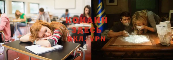 индика Белокуриха
