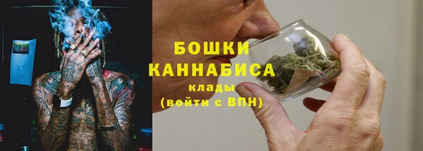 индика Белокуриха
