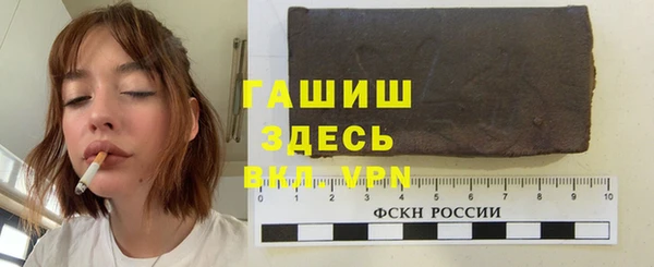 индика Белокуриха