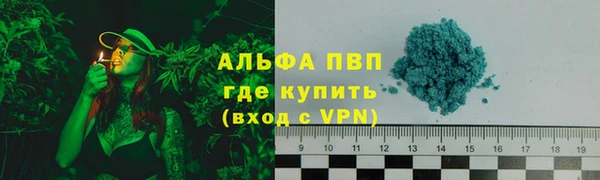 шишки Беломорск