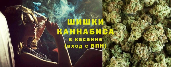 шишки Беломорск