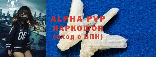 индика Белокуриха