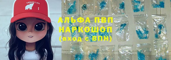 СК Снежногорск