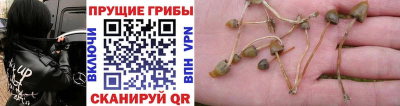 где найти MEGA как войти Галлюциногенные грибы MAGIC MUSHROOMS Жирновск