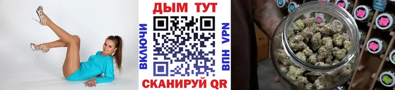 купить   Жирновск  Каннабис Amnesia 
